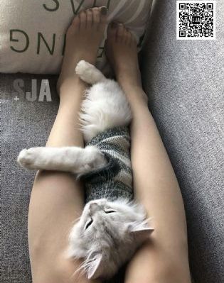 国产古装战争电影_1080高清免费观看